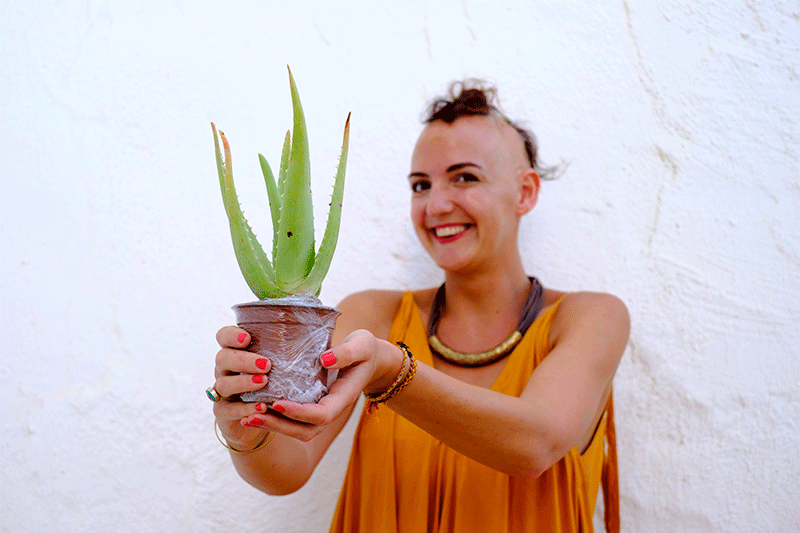 Can this particular aloe vera help my hair loss!?!