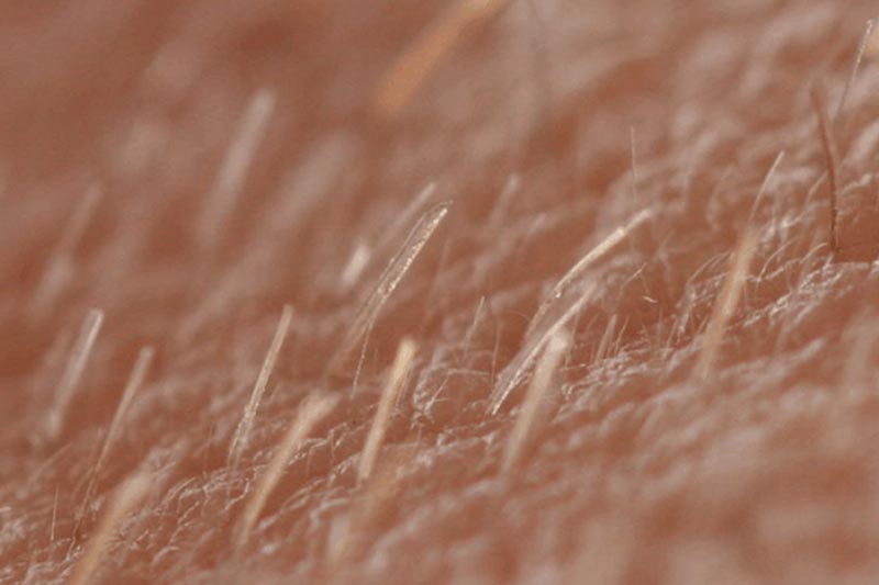 Close up of hair