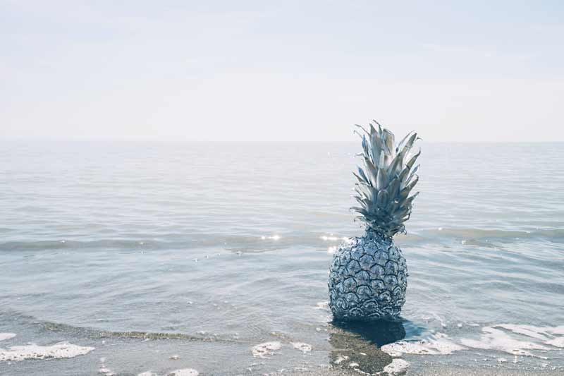 pineapple pineapple