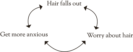 The cycle of hair loss