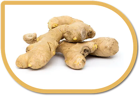 ginger-root