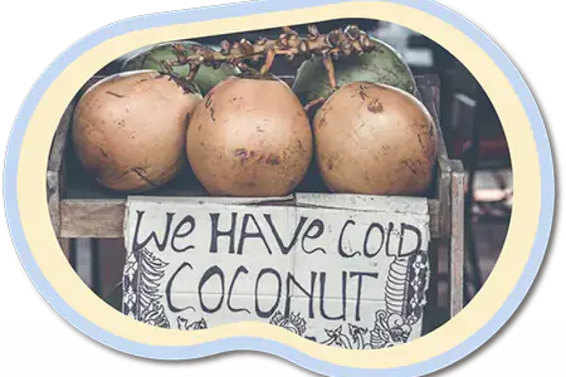 cold-coconut