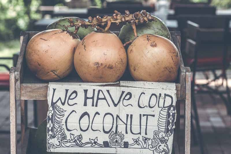 Using Coconut Oil for Hair Growth Lady Alopecia